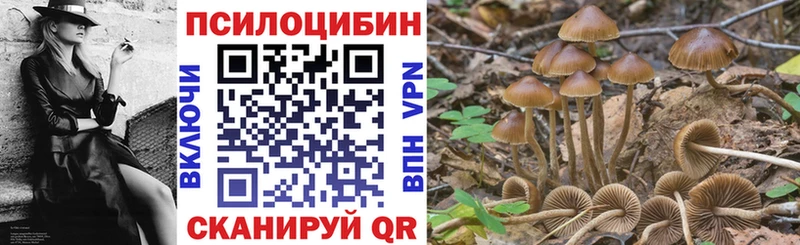 Галлюциногенные грибы MAGIC MUSHROOMS  Нижний Ломов 